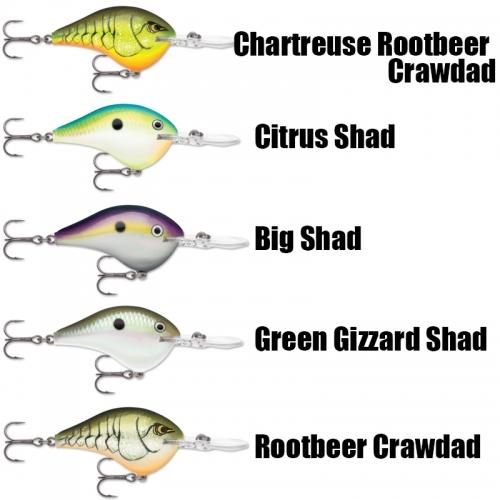 Rapala DT 6 Crankbait – Real Deal Tackle