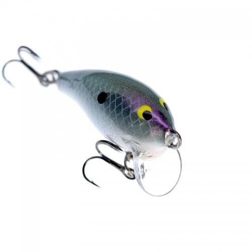 ラパラ × ファルクス カスタム クランクのミニ ファット ラップ