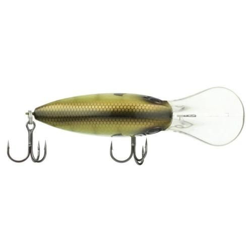 ダイム　410枚 バークレーのダイム｜アメリカン釣具通販NEST