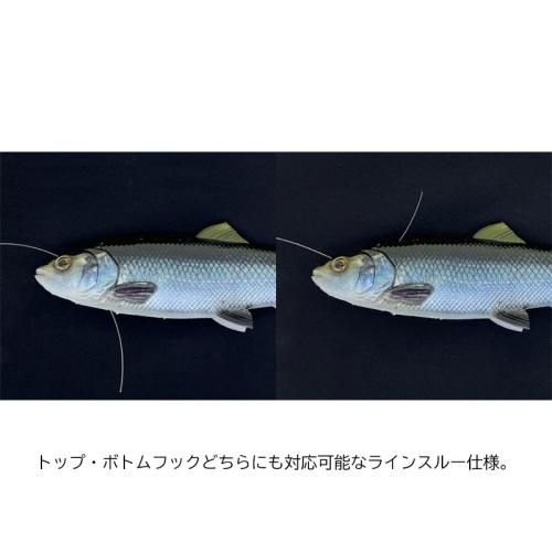 ハルページ 01c047174bdd753ac9d0c4ffb4cd6f