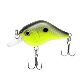 ラパラDT6 10個セット RaPaLa 【全11色】ラパラ DT-6 ディープクランク【2】 : バック