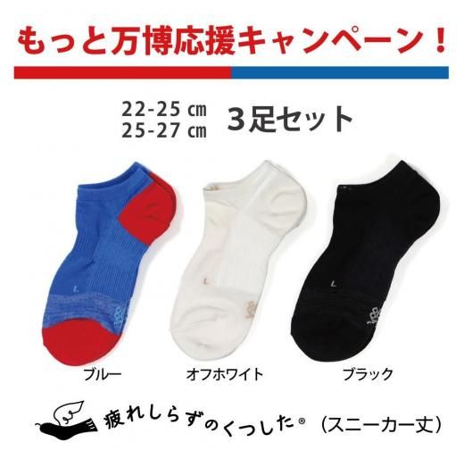 <img class='new_mark_img1' src='https://img.shop-pro.jp/img/new/icons16.gif' style='border:none;display:inline;margin:0px;padding:0px;width:auto;' />줷餺ΤĤ ˡ 3­å