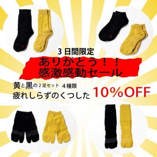 10oFF줷餺ΤĤ ȹ2­åȡڤ꤬Ȥ㴶ư1018&#12316;203ָ