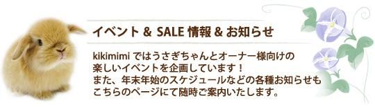 ٥ȸФSALE