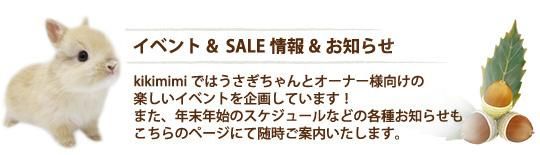 ٥ȸФSALE