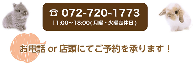 電話予約・お問合せ