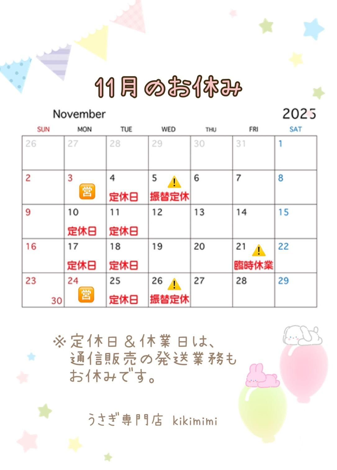 大阪のうさぎ専門店 kikimimi（キキミミ）｜ホーランドロップ