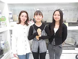ネザーランドドワーフのオレンジちゃん