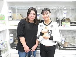 ネザーランドドワーフのオレンジちゃん
