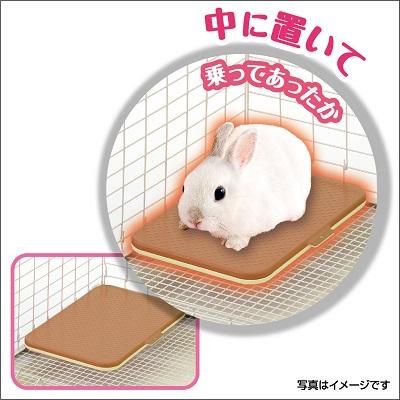 オーダーメイド完成品】うさぎさんのポット | ❤︎Blanche Neige❤︎