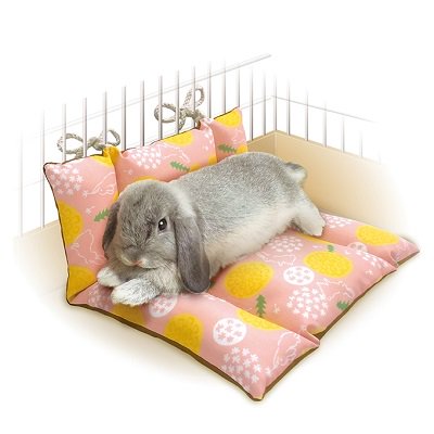 うさぎ用品｜Ｂｕｎｎｙ Ｒｏｏｍ ふわふわガーデン ソファベッド】 - うさぎ飼育の全てが揃う、大阪のうさぎ 専門店kikimimi。ベビー販売のベテラン・老舗の通販だから安心！大阪府箕面市