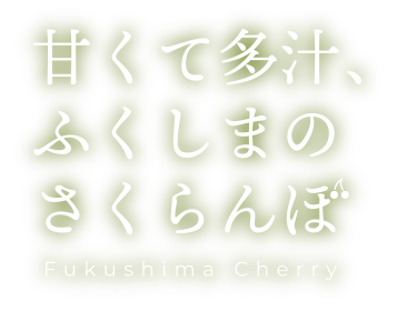甘くて多汁、ふくしまのさくらんぼ Fukushima Fruits