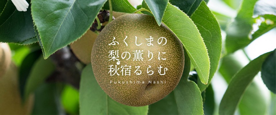 ふくしまの梨の薫りに秋宿るらむ Fukushima Nashi
