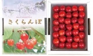 さくらんぼ - くだもの畑オンラインショップ