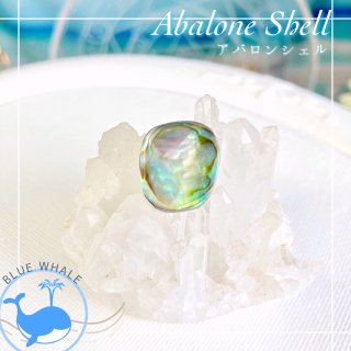 BWܡڥХ󥷥-abalone shell-ۡ롼쥯ȥ