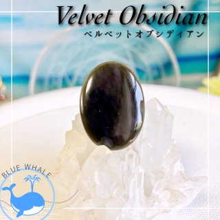 BWܡڥ٥٥åɥ֥ǥ-Velvet Obsidian-ۡ롼쥯ȥ