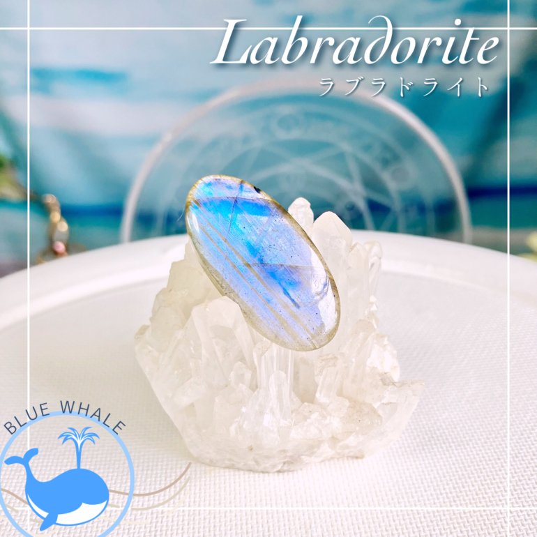 BWܡ㉓ڥ֥ɥ饤-Labradorite-ۡ롼쥯ȥ