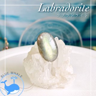 BWܡ㉔ڥ֥ɥ饤-Labradorite-ۡ롼쥯ȥ