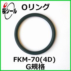 Oリング FKM-70 (4D) G-25 ＜線径φ3.1mm × 内径φ24.4mm＞ - Oリング