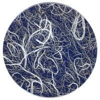 A150ʻ ε֥롼  12042980