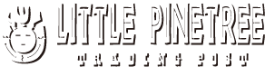 練馬のインディアンジュエリー・雑貨のお店 Little Pinetree Trading Post