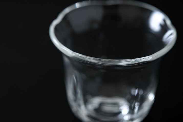 ȤȾ˻Źhana cup-02