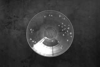 ߷㵪mist bowl M