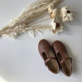 Brown T-strap Shoes