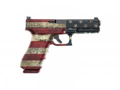 Pistol Skin - America