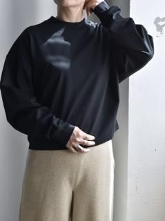 <img class='new_mark_img1' src='https://img.shop-pro.jp/img/new/icons14.gif' style='border:none;display:inline;margin:0px;padding:0px;width:auto;' />ALWEL    롼ץ륪С   [ink black] 