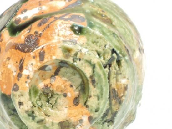 深見文紀／漫画織部ぐい呑バニーガール正面之画 FUKAMI Fuminori