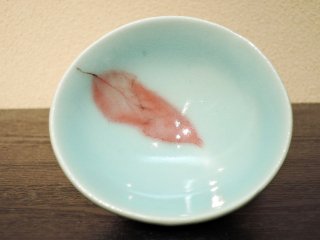 ¼¡ļڥդΤߡKIMURA Morikazu / Seiji akakonoha guinomi