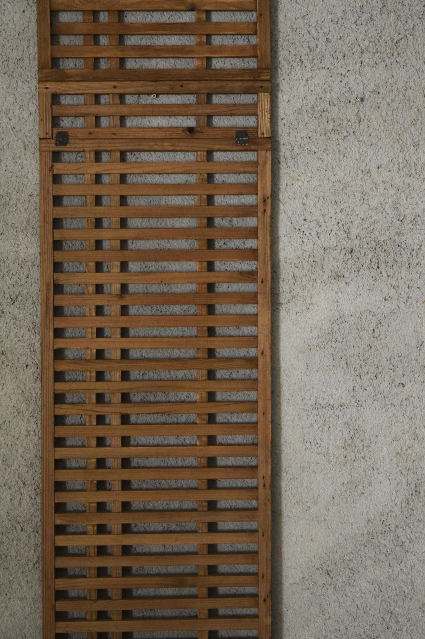 帳場格子 - pejite online shop