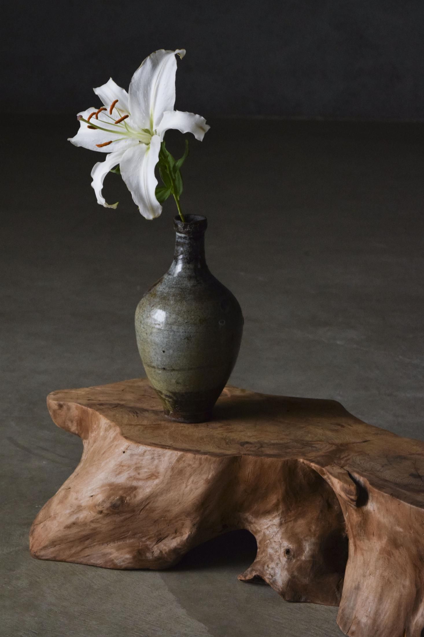 展示台 - pejite online shop