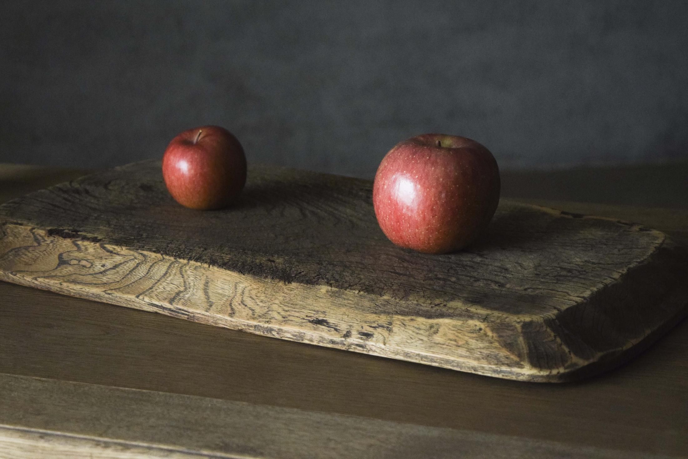 トレー - pejite online shop