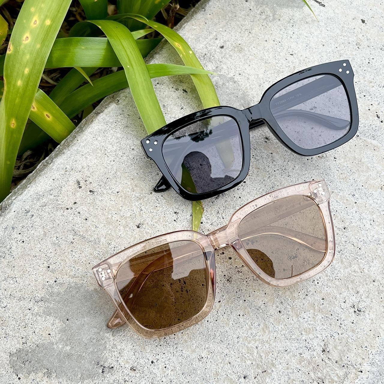 HOSU DUAL-LENS SUNGLASSES (Ĵи) / BLACK,BROWN
