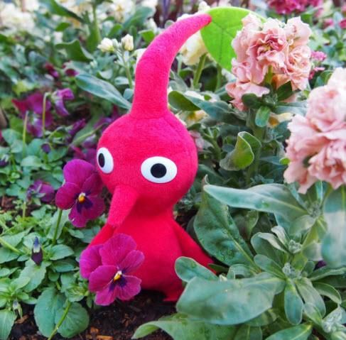 ピクミン Pk01 赤ピクミン ぬいぐるみ Toys Labo ぬいぐるみの最安値通販サイト ピクミン Pk01 赤ピクミン ぬいぐるみ Toys Labo ぬいぐるみの最安値通販サイト