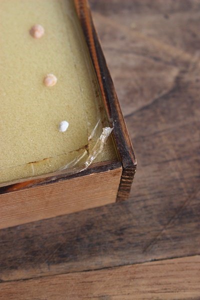 日本貝の標本箱 - アンティーク・古道具・暮らしの雑貨店 京都