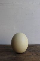 日本<br>卵