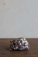 <img class='new_mark_img1' src='https://img.shop-pro.jp/img/new/icons8.gif' style='border:none;display:inline;margin:0px;padding:0px;width:auto;' /><br>ʪ