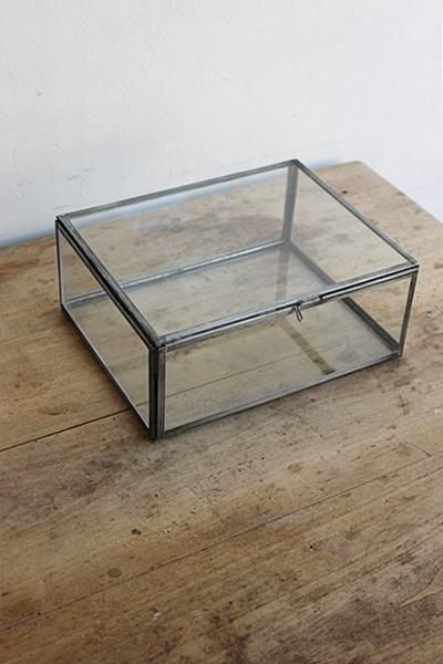 nkukuガラスケース L - アンティーク・古道具・暮らしの雑貨店 京都