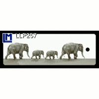 L.M. KartenvertriebLLP-257 Bookmarks (MUYBRIDGE, ELEPHANTS)LM,,ޥ֥å-ݡå顼,ɥĤξʲ
