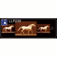 L.M. KartenvertriebLLP-239 Bookmarks (MUYBRIDGE, RUNNING HORSE)LM,,ޥ֥åå顼,ɥĤξʲ