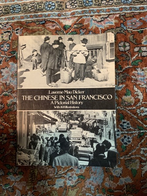 THE CHINESE IN SAN FRANCISCO A pictorial history