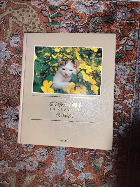 猫の麦わら帽子」THE STRAWHAT CAT 深瀬昌久 写真集☆文化出版局 初版 