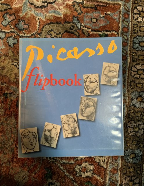 picasso flipbook