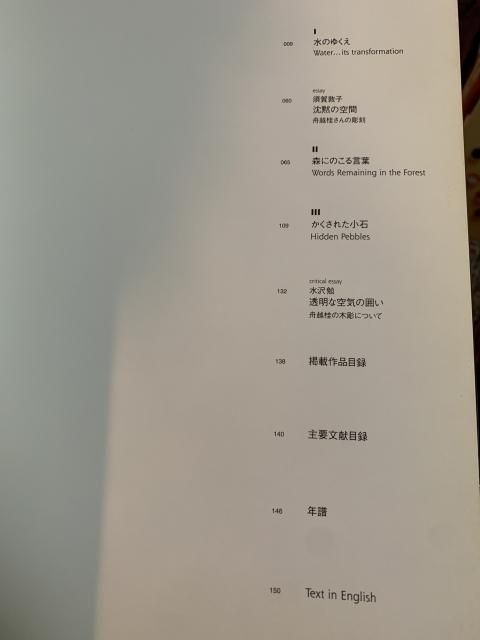 水のゆくえ 舟越桂作品集 水のゆくえ 舟越桂作品集｜青幻舎 SEIGENSHA Art Publishing, Inc.