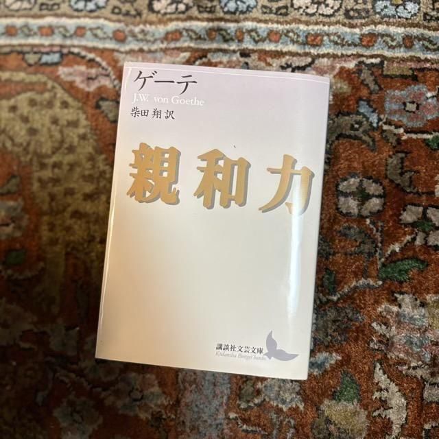 <img class='new_mark_img1' src='https://img.shop-pro.jp/img/new/icons7.gif' style='border:none;display:inline;margin:0px;padding:0px;width:auto;' />ϡ/  