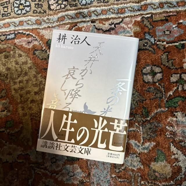 <img class='new_mark_img1' src='https://img.shop-pro.jp/img/new/icons7.gif' style='border:none;display:inline;margin:0px;padding:0px;width:auto;' />θŷ椫ߤ밥/  ̼