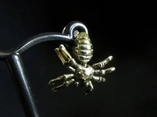 Spider Brass Pierceѥԥ